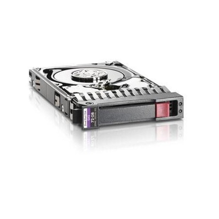 "Hewlett Packard Enterprise 737298-001 300GB SAS HDD - High-Performance Hot Plug Storage Solution"